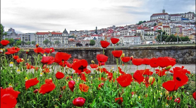 Recantos… primaveris na cidade das rosas